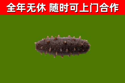 临淄烟酒回收干海参.jpg
